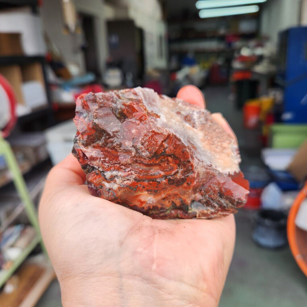 Lone Juniper Jasper Agate Rough