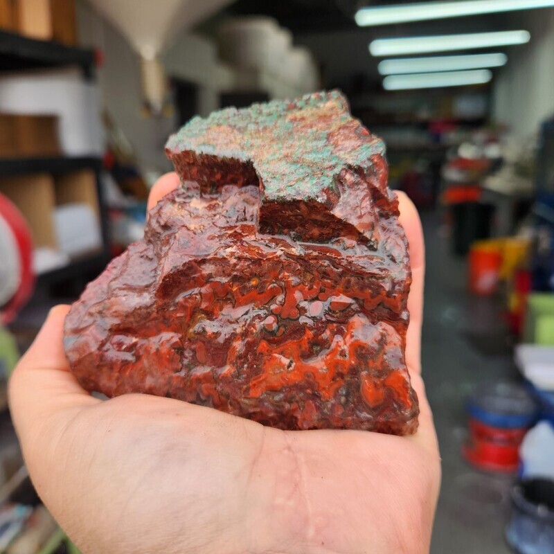 Lone Juniper Jasper Agate Rough