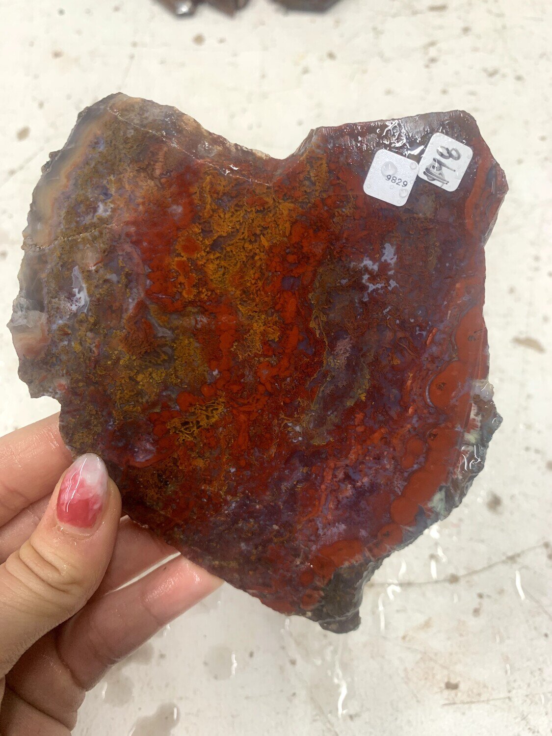 Red Moss Agate Slab