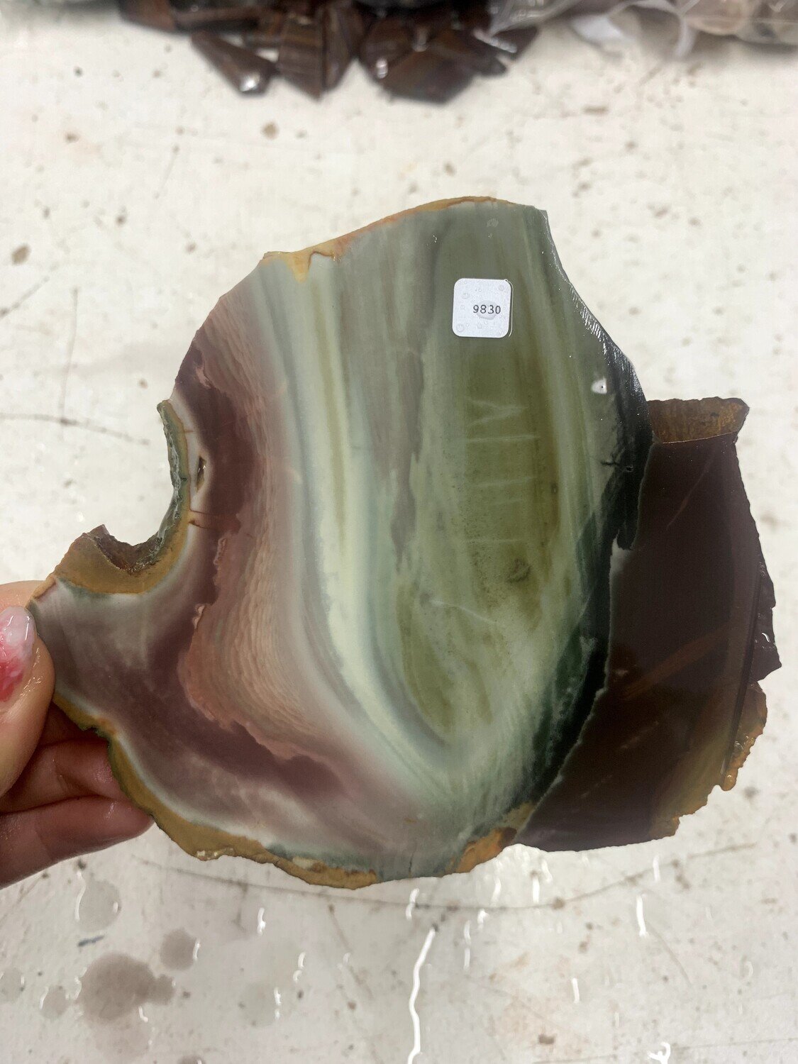 Polychrome Jasper Slab