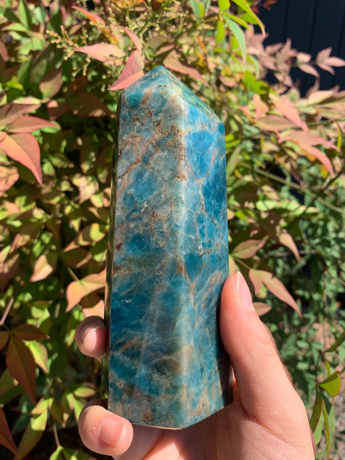 Polished Blue Apatite Points (Stone Sealed)