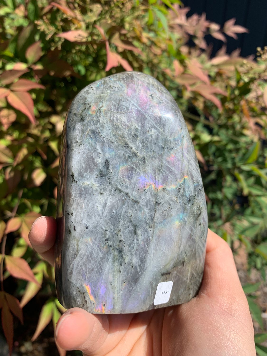 Polished Rare Purple Flash Labradorite Standing Freeforms