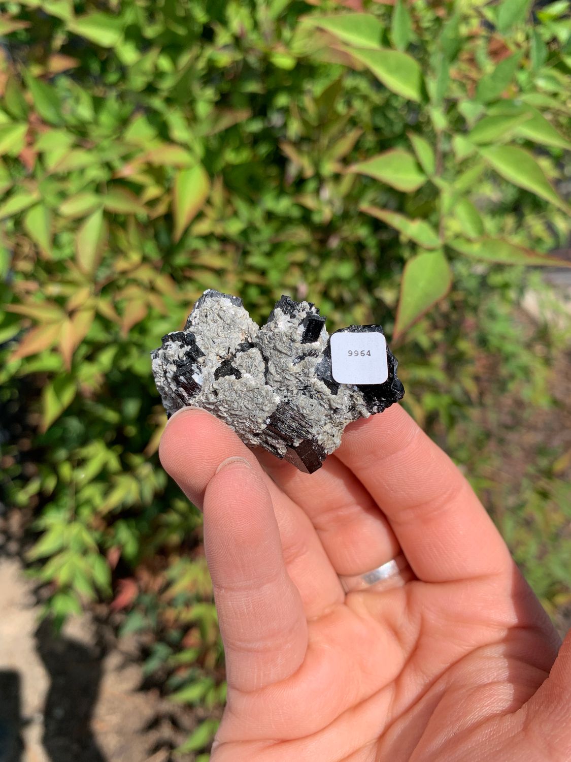 Natural Schorl Black Tourmaline Crystals and Clusters