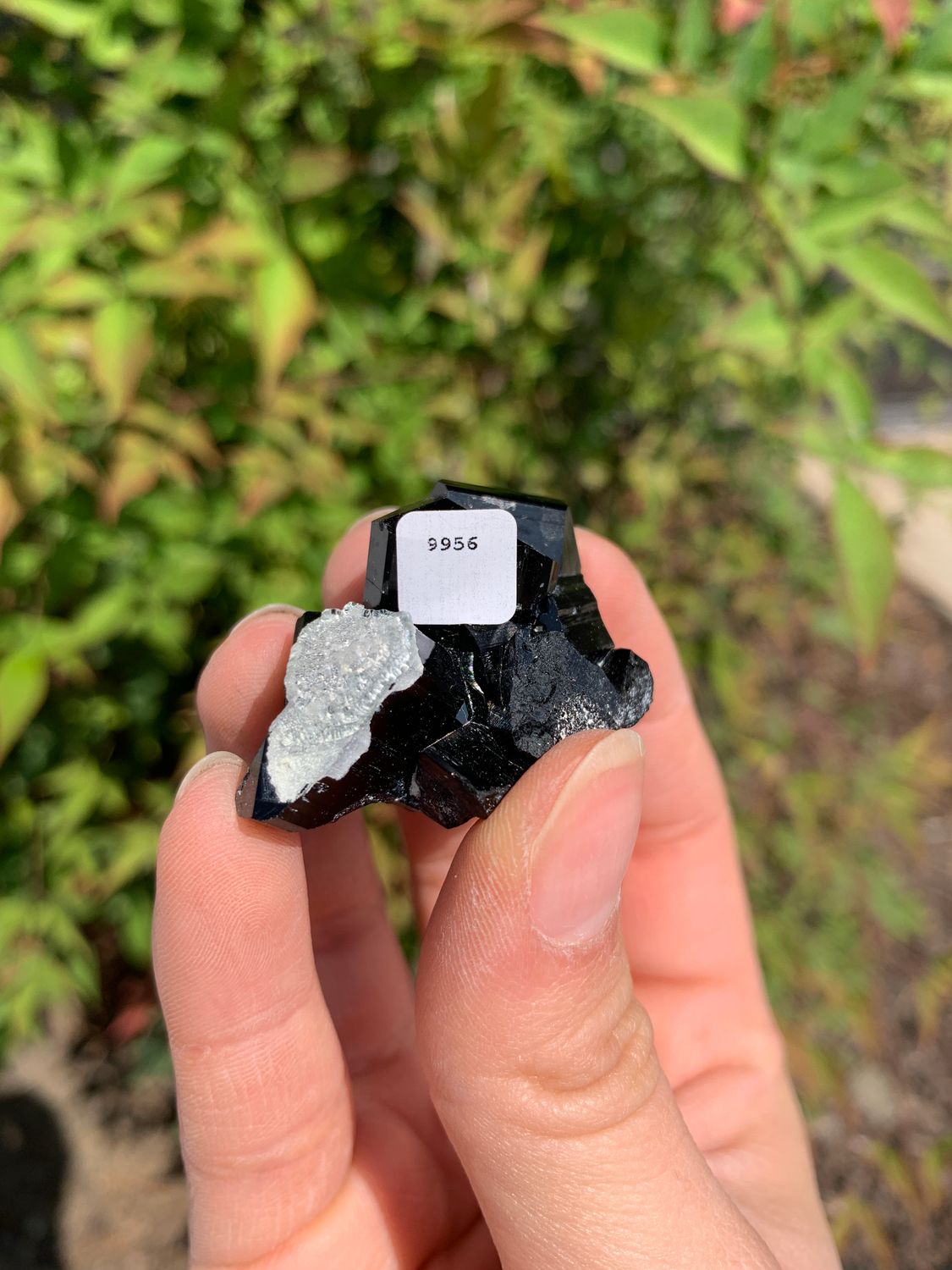 Natural Schorl Black Tourmaline Crystals and Clusters