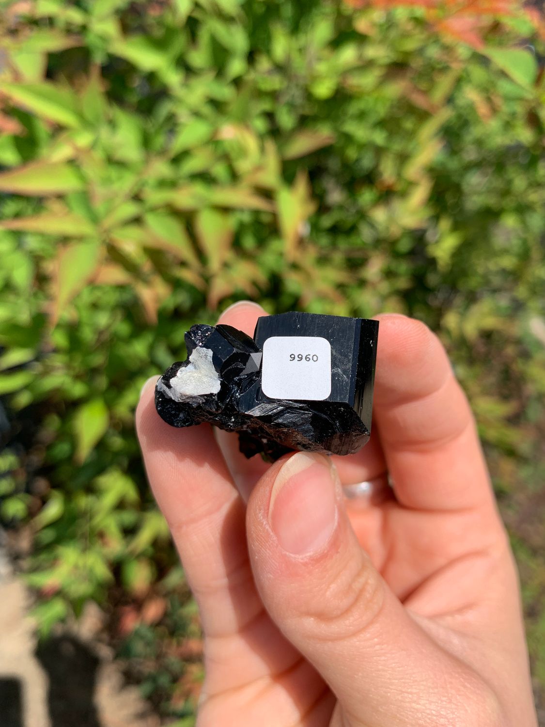 Natural Schorl Black Tourmaline Crystals and Clusters