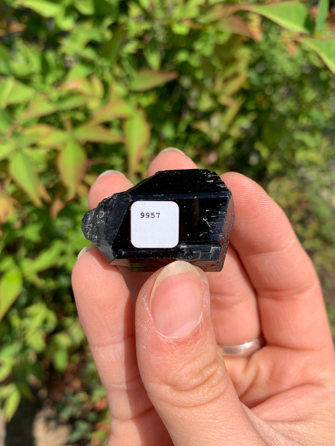 Natural Schorl Black Tourmaline Crystals and Clusters