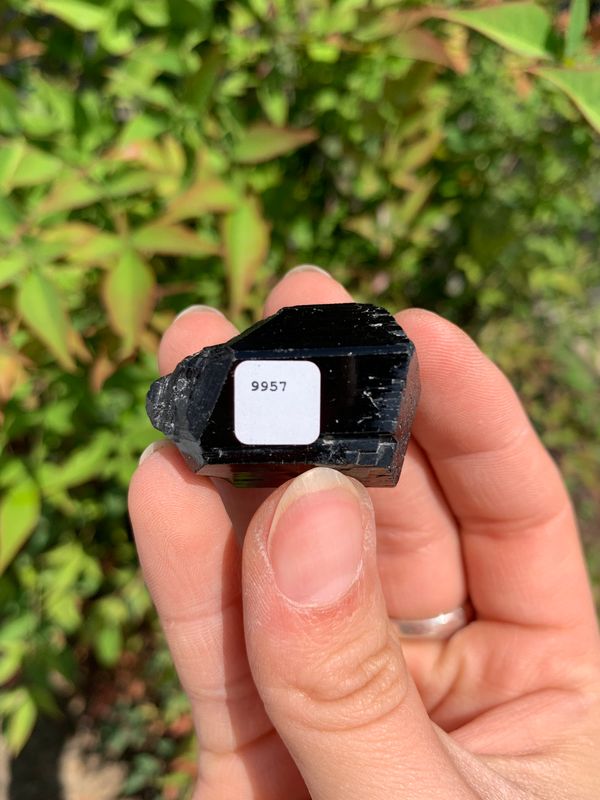 Natural Schorl Black Tourmaline Crystals and Clusters