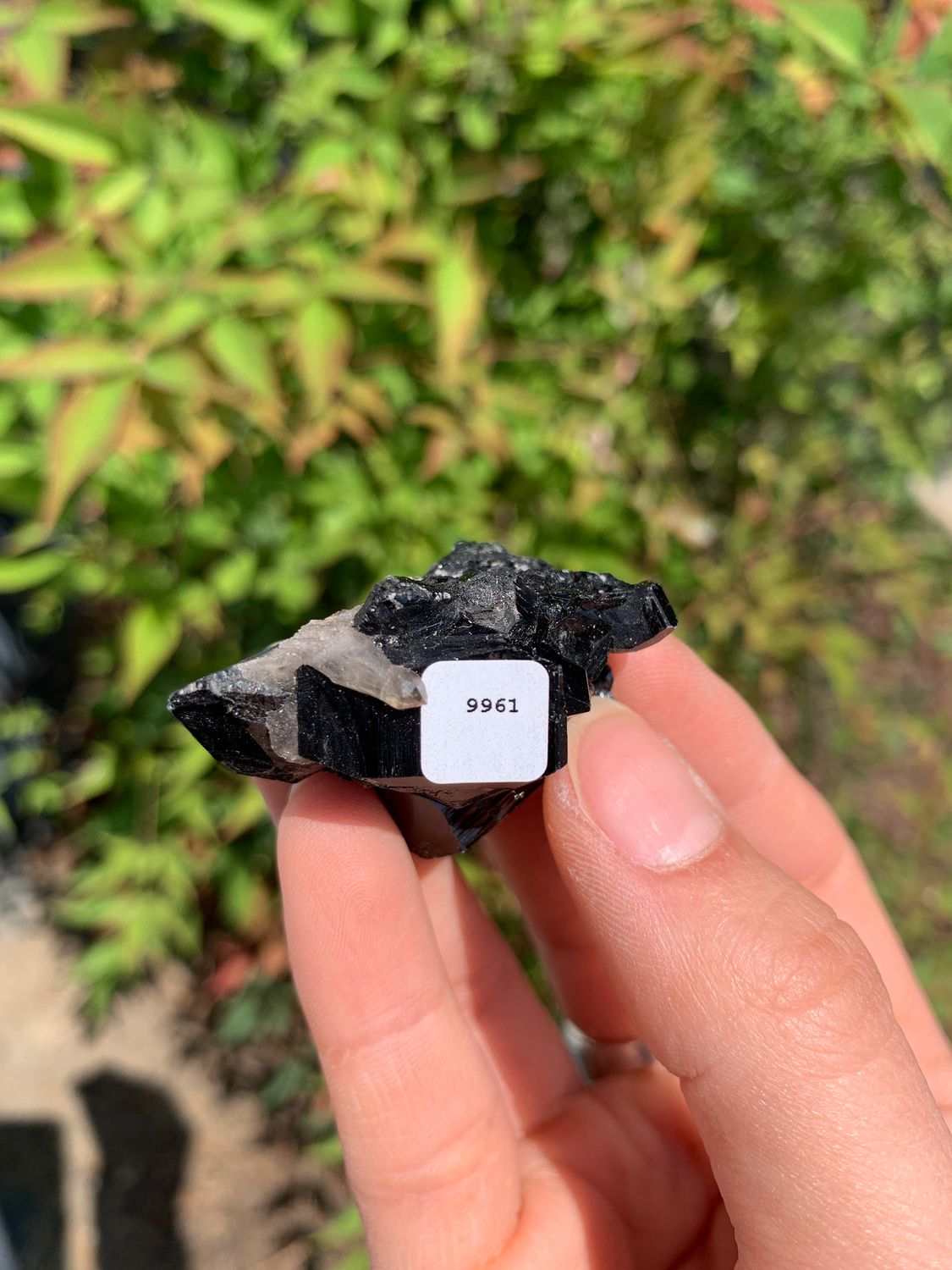 Natural Schorl Black Tourmaline Crystals and Clusters