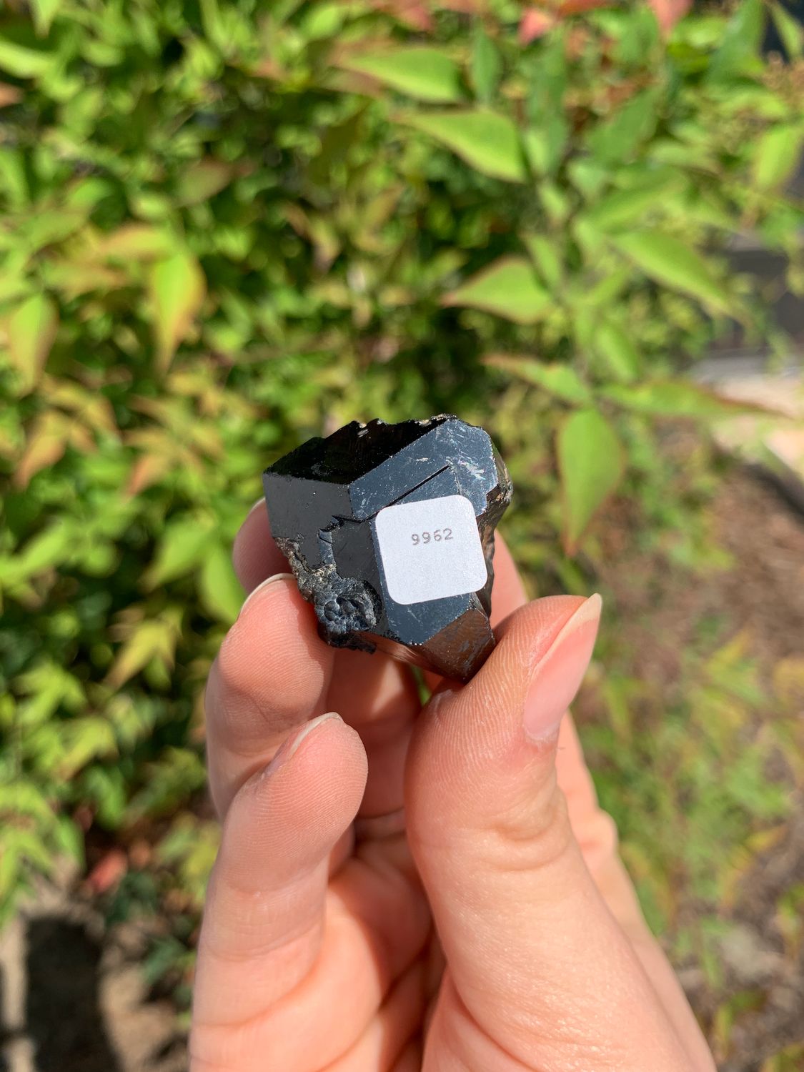 Natural Schorl Black Tourmaline Crystals and Clusters