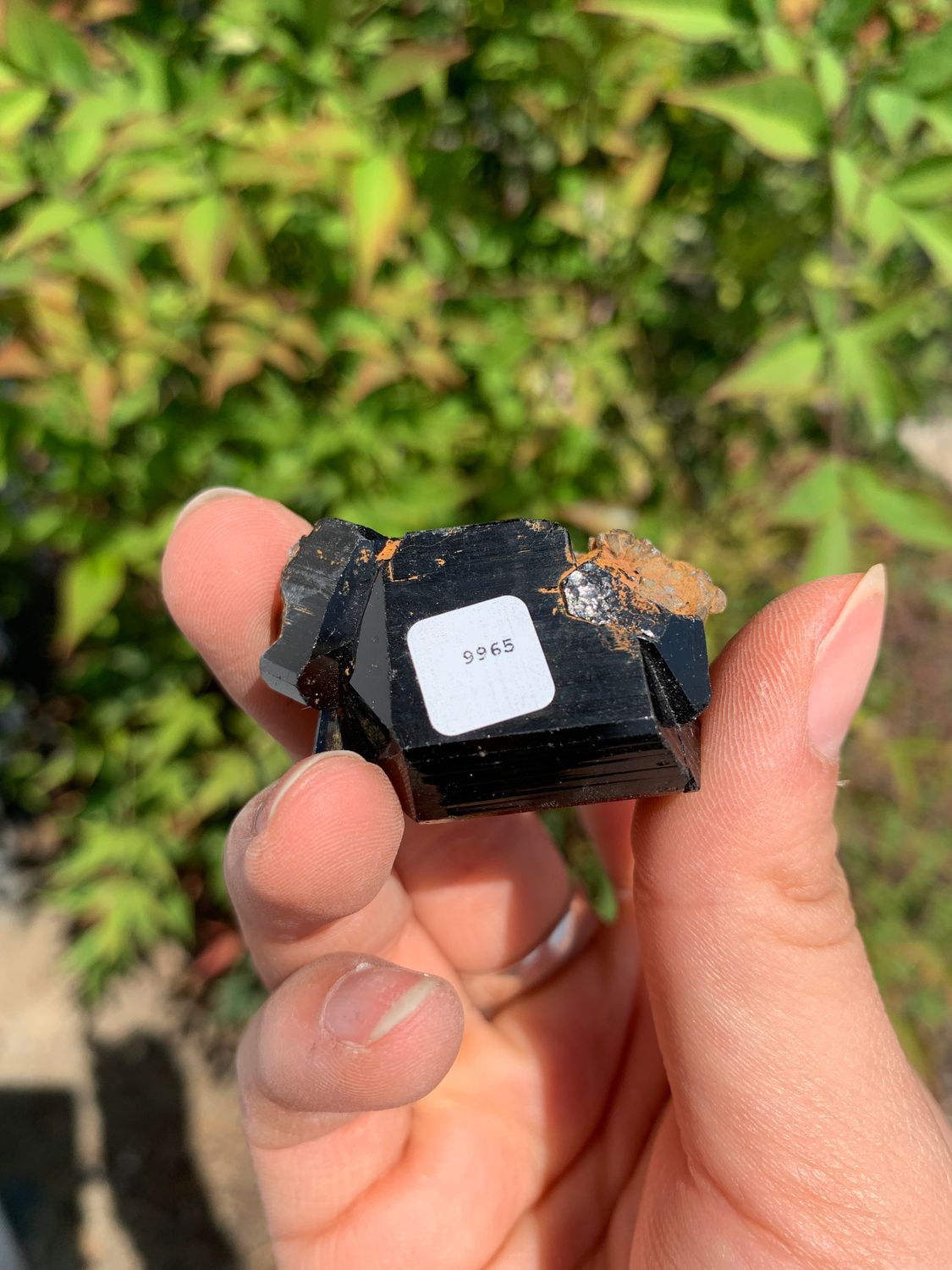 Natural Schorl Black Tourmaline Crystals and Clusters