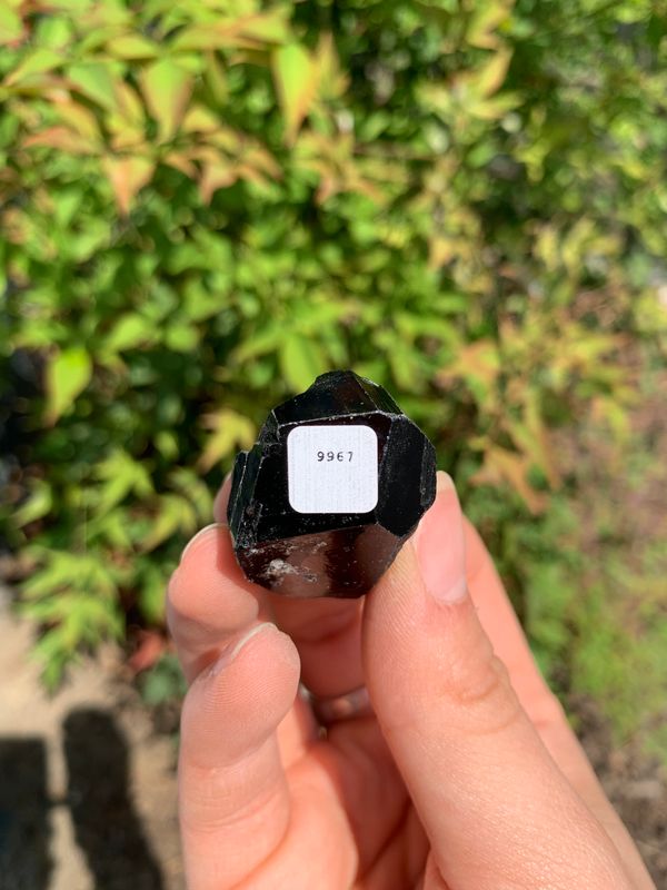 Natural Schorl Black Tourmaline Crystals and Clusters