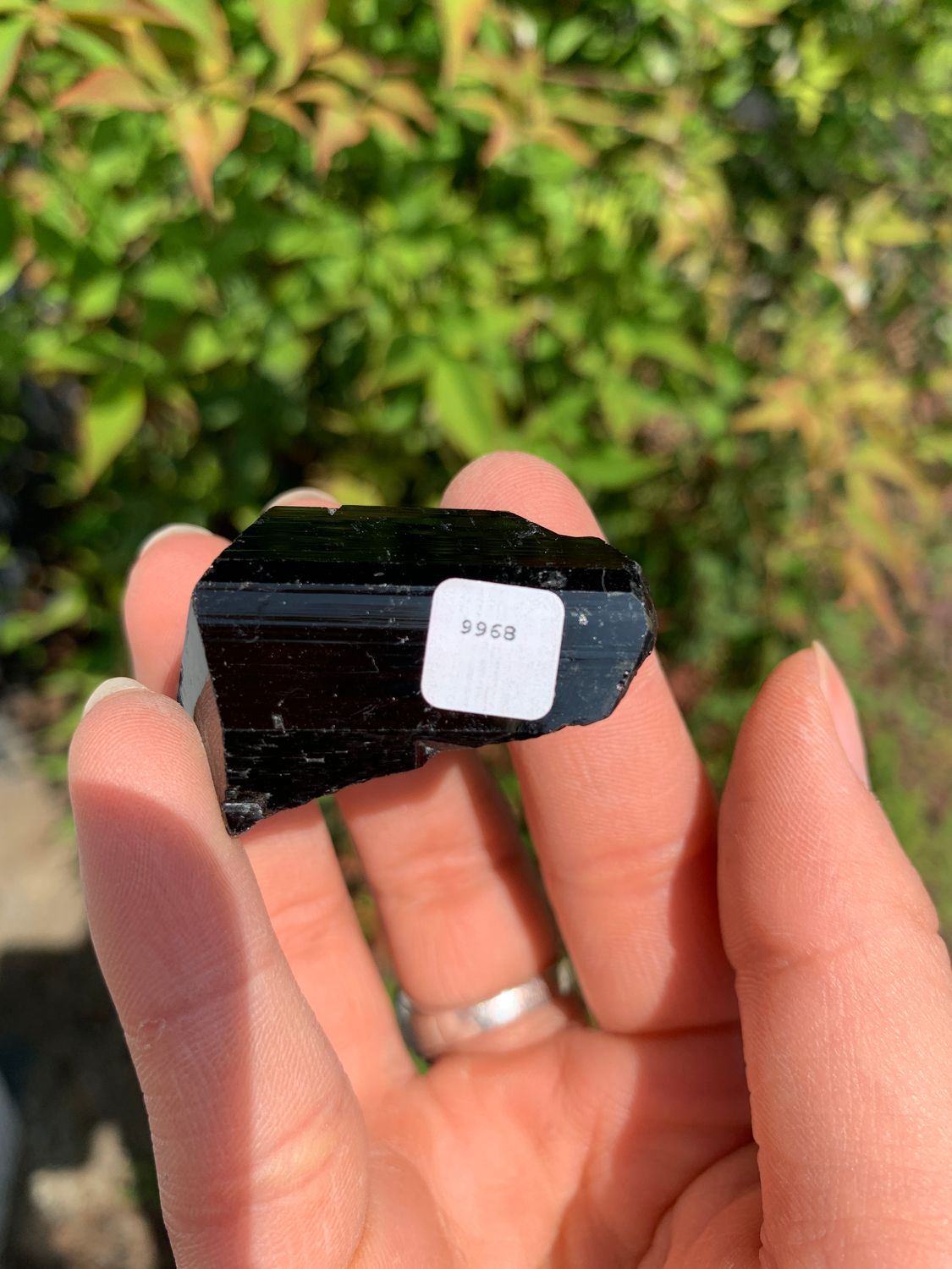 Natural Schorl Black Tourmaline Crystals and Clusters