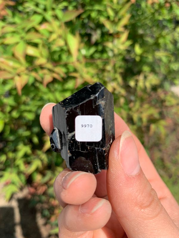 Natural Schorl Black Tourmaline Crystals and Clusters