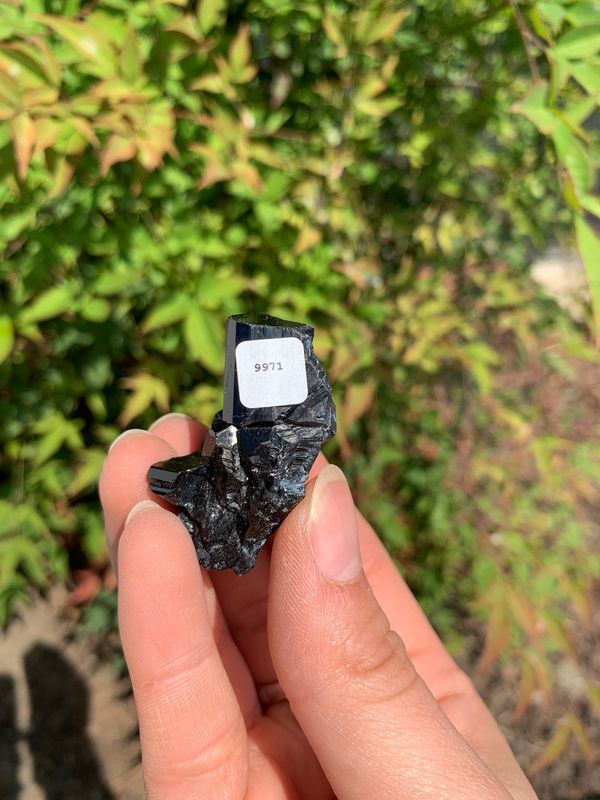 Natural Schorl Black Tourmaline Crystals and Clusters