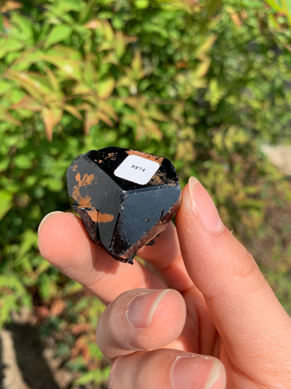Natural Schorl Black Tourmaline Crystals and Clusters