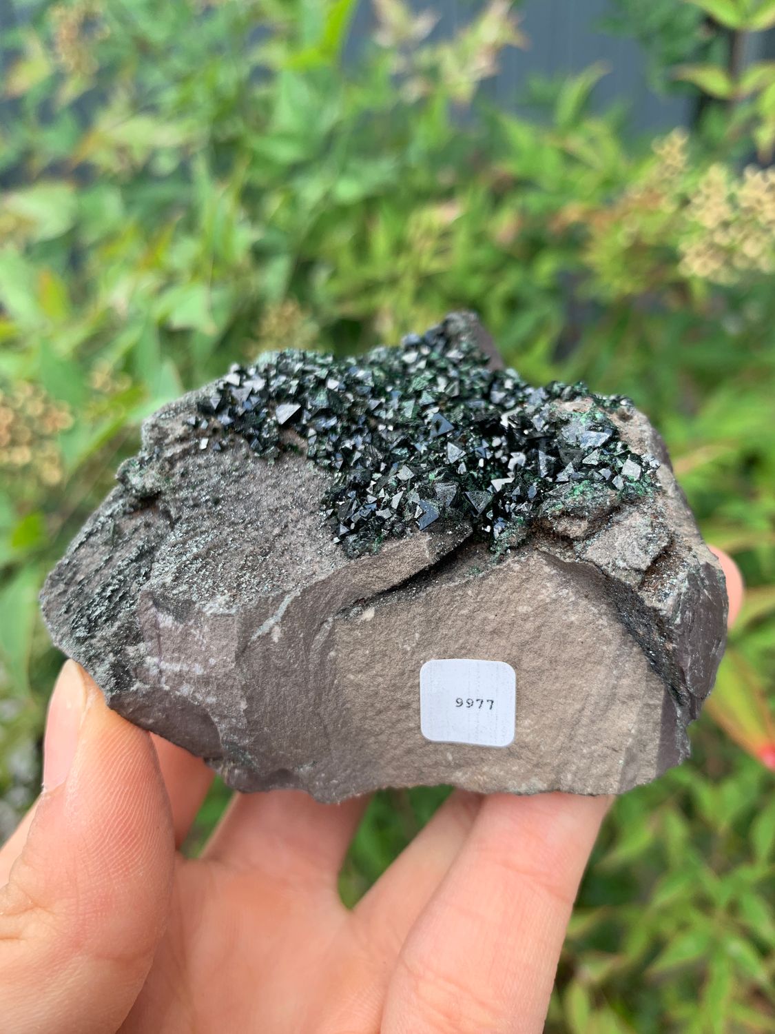Natural Rare Libethenite Dark Green Orthorhombic Crystals