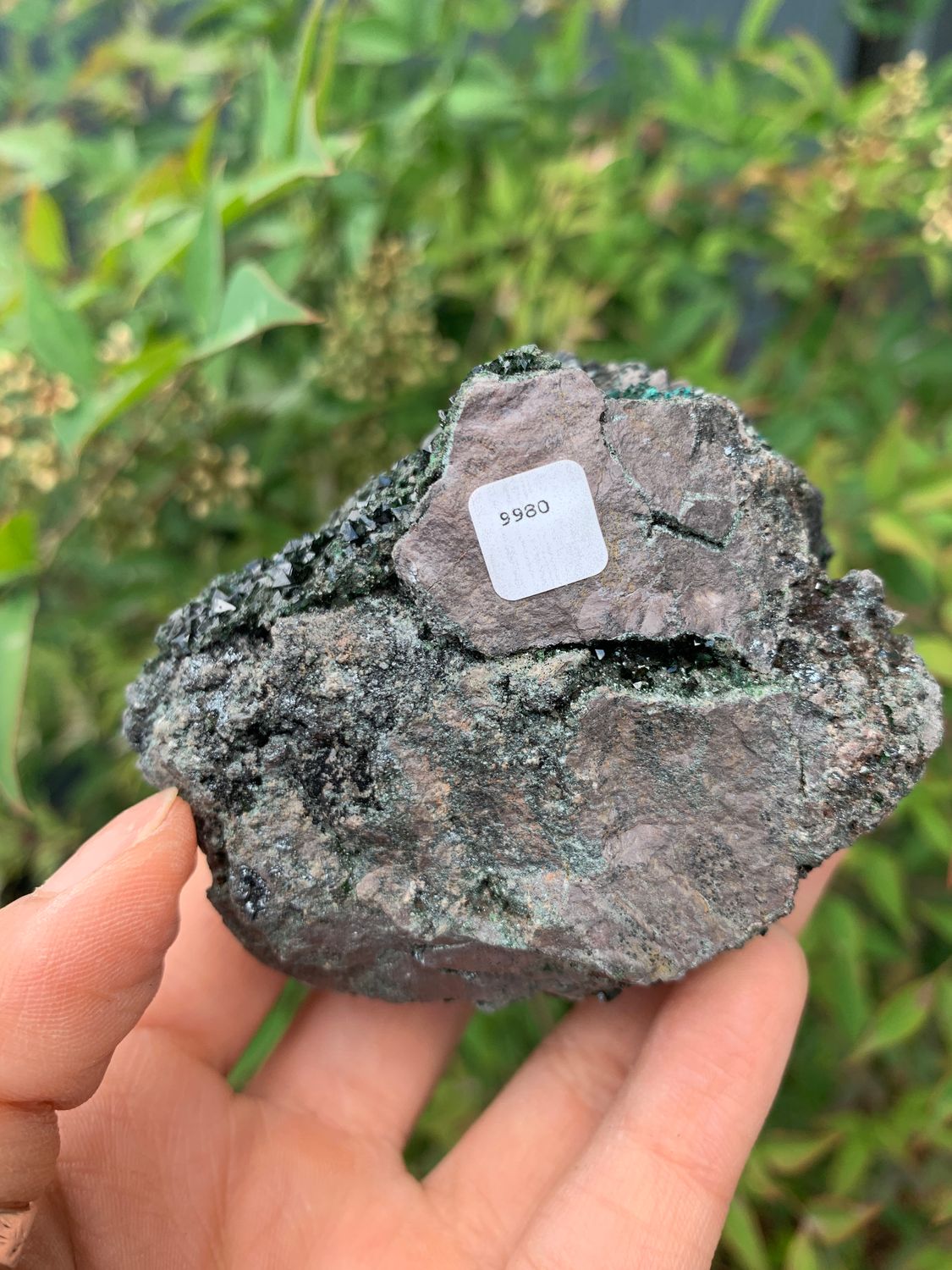 Natural Rare Libethenite Dark Green Orthorhombic Crystals