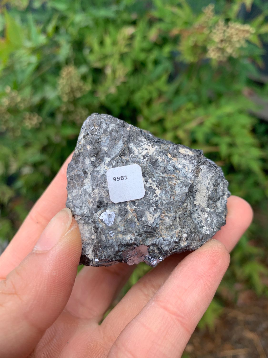 Natural Rare Silver Lead Galena Specimens