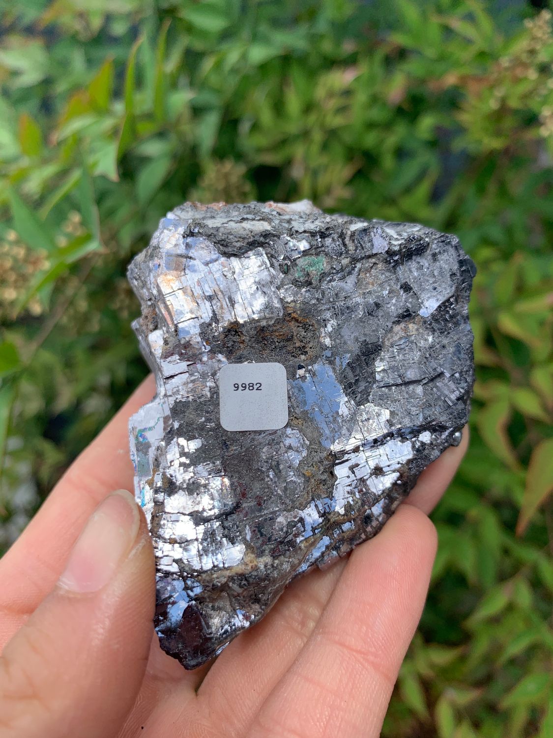 Natural Rare Silver Lead Galena Specimens