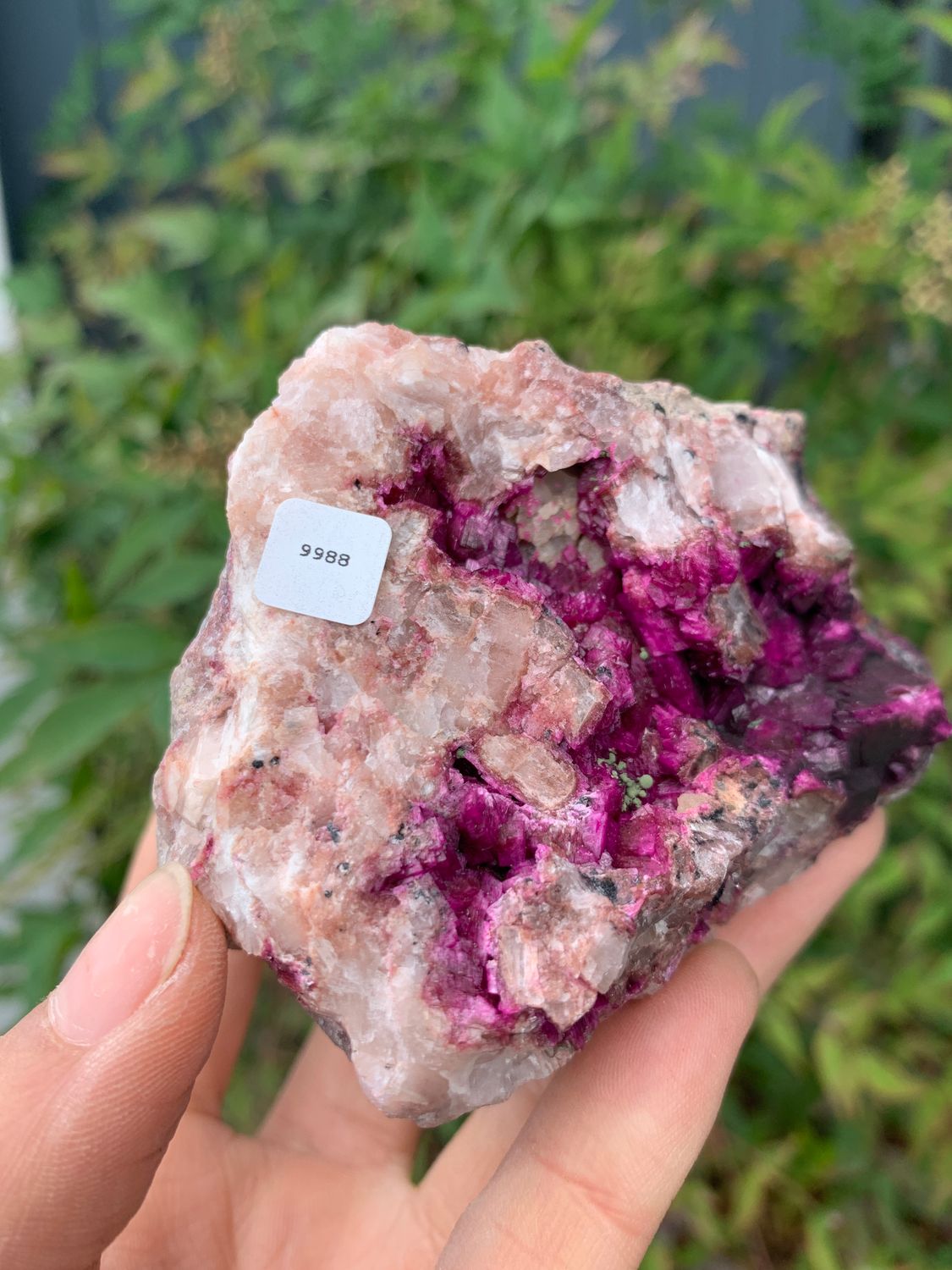 Natural Drusy Salrose Cobaltion Dolomite Specimens with Malachite