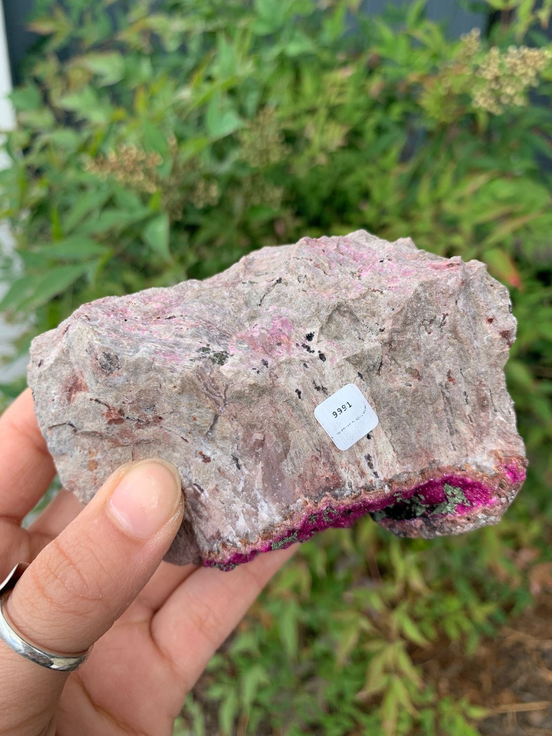 Natural Drusy Salrose Cobaltion Dolomite Specimens with Malachite