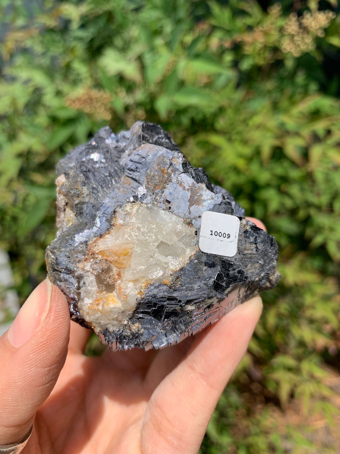 Natural Rare Silver Lead Galena Specimens