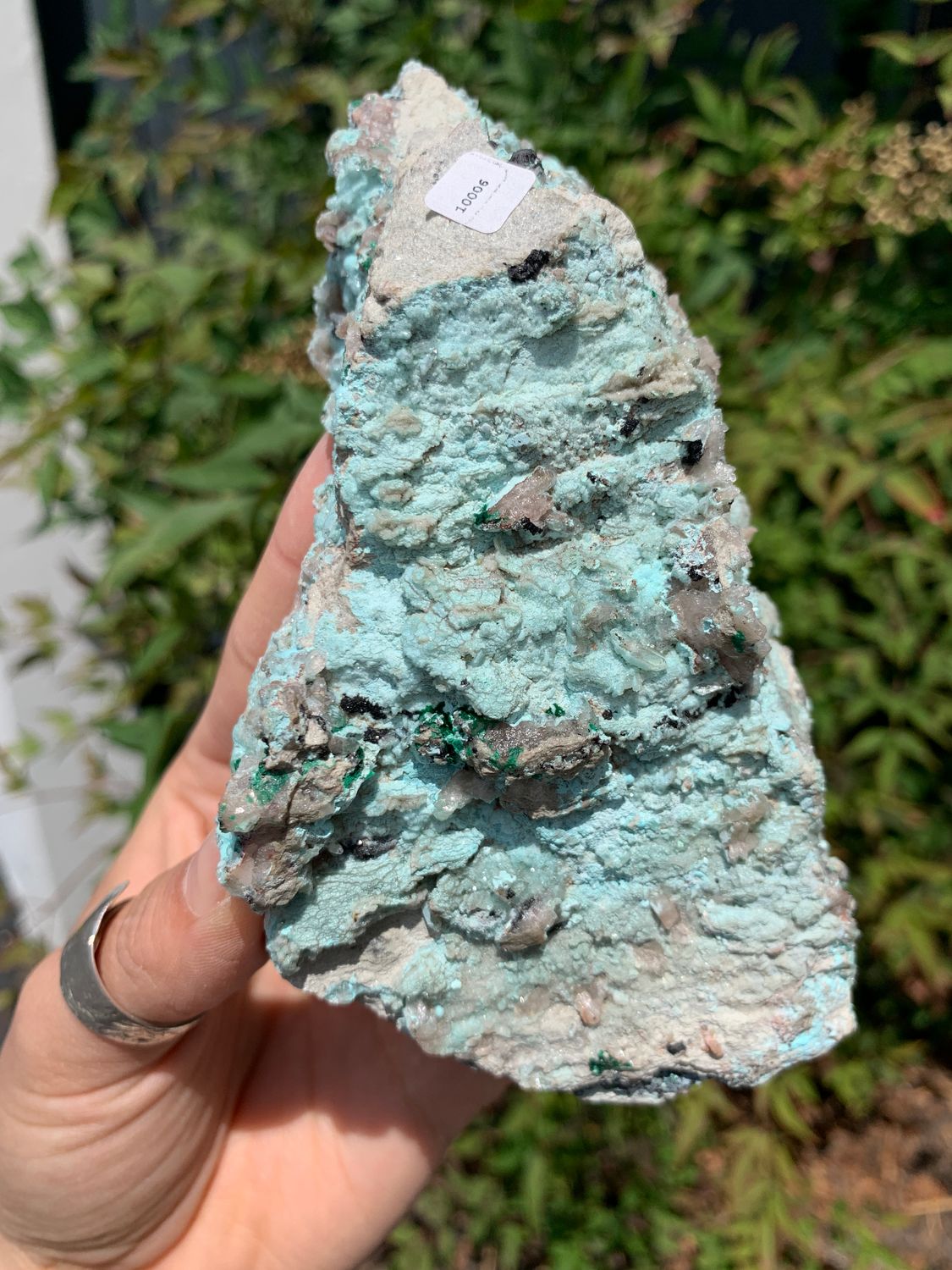 Natural Blue Drusy Chrysocolla Dolomite Specimens with Malachite and Black Heterogonite