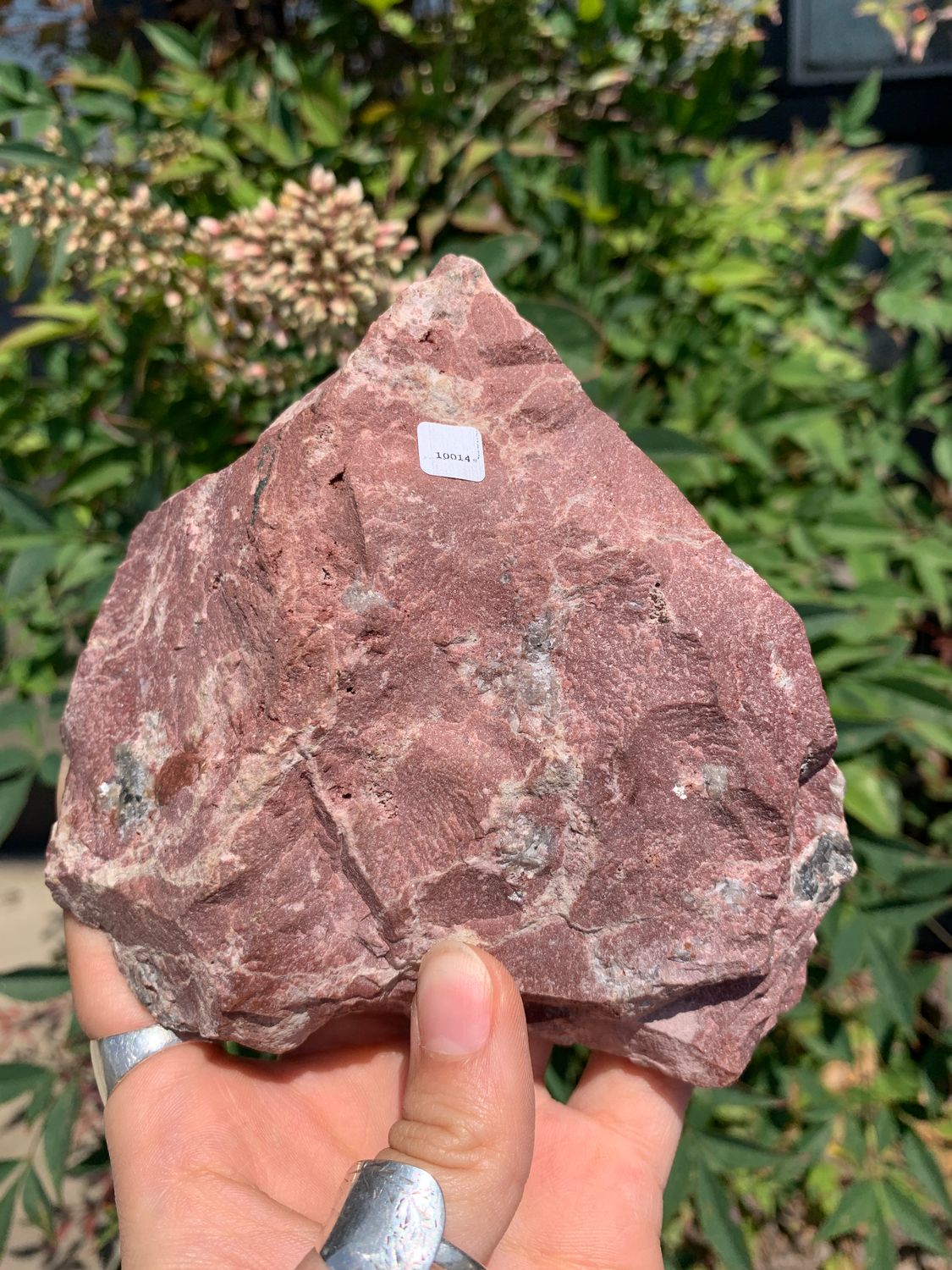 Natural Salrose Pink with Malachite