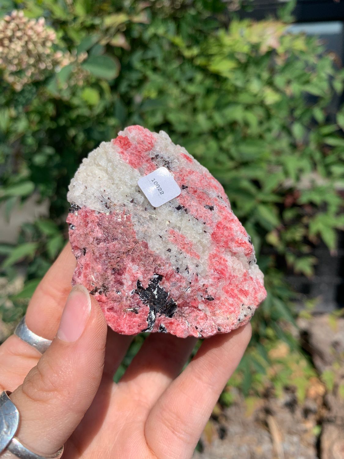 Natural Rough Red Rhodonite Cobbed Specimen