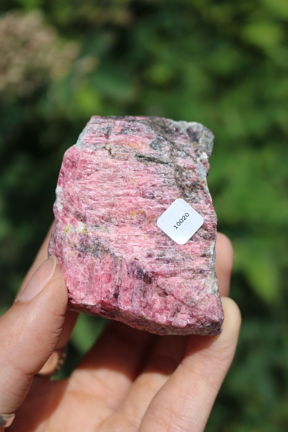 Natural Rough Red Rhodonite Cobbed Specimen