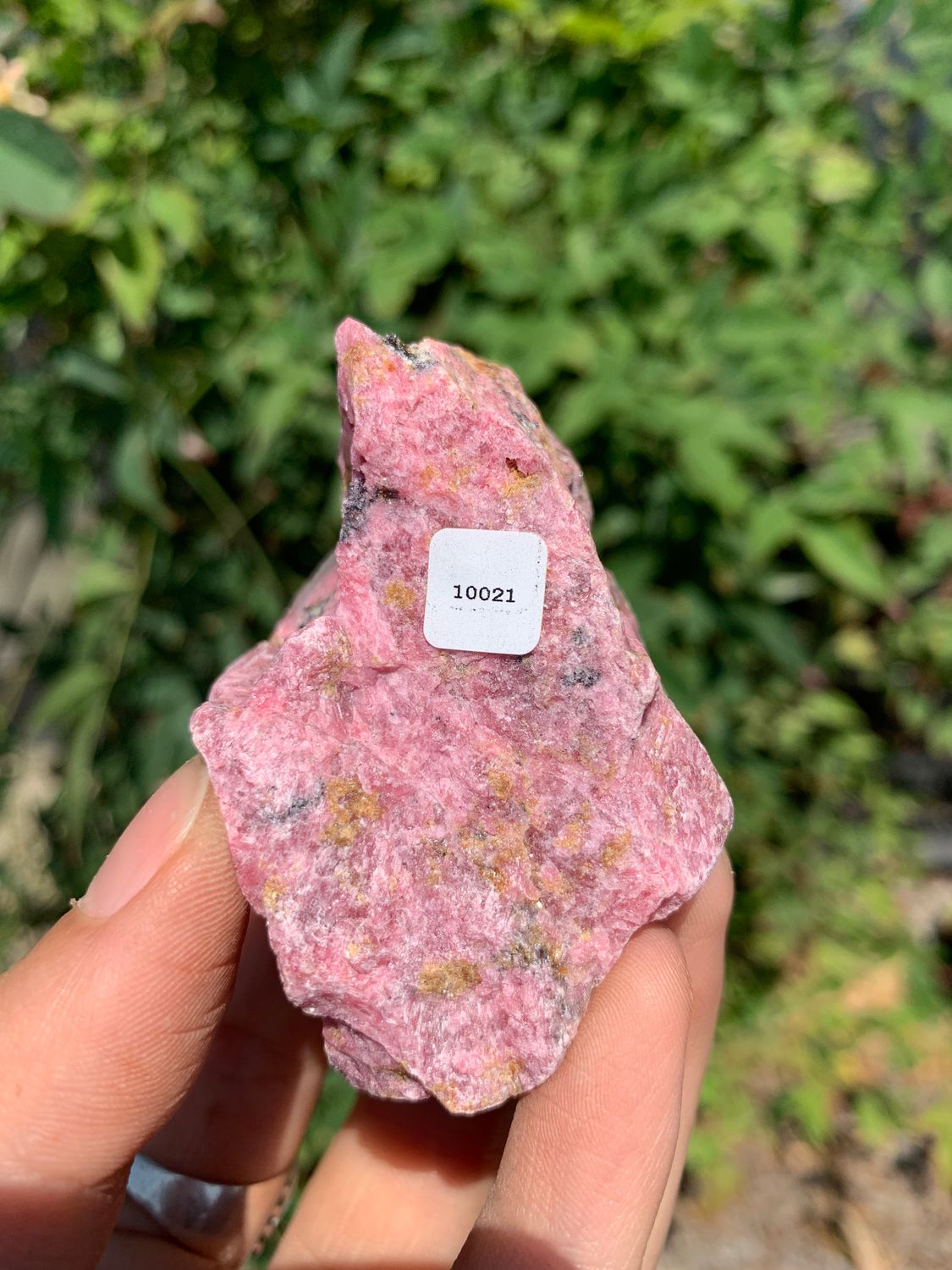 Natural Rough Red Rhodonite Cobbed Specimen