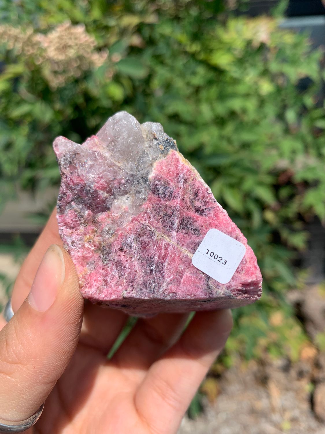 Natural Rough Red Rhodonite Cobbed Specimen