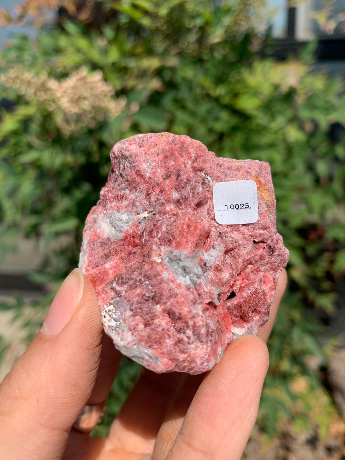 Natural Rough Red Rhodonite Cobbed Specimen