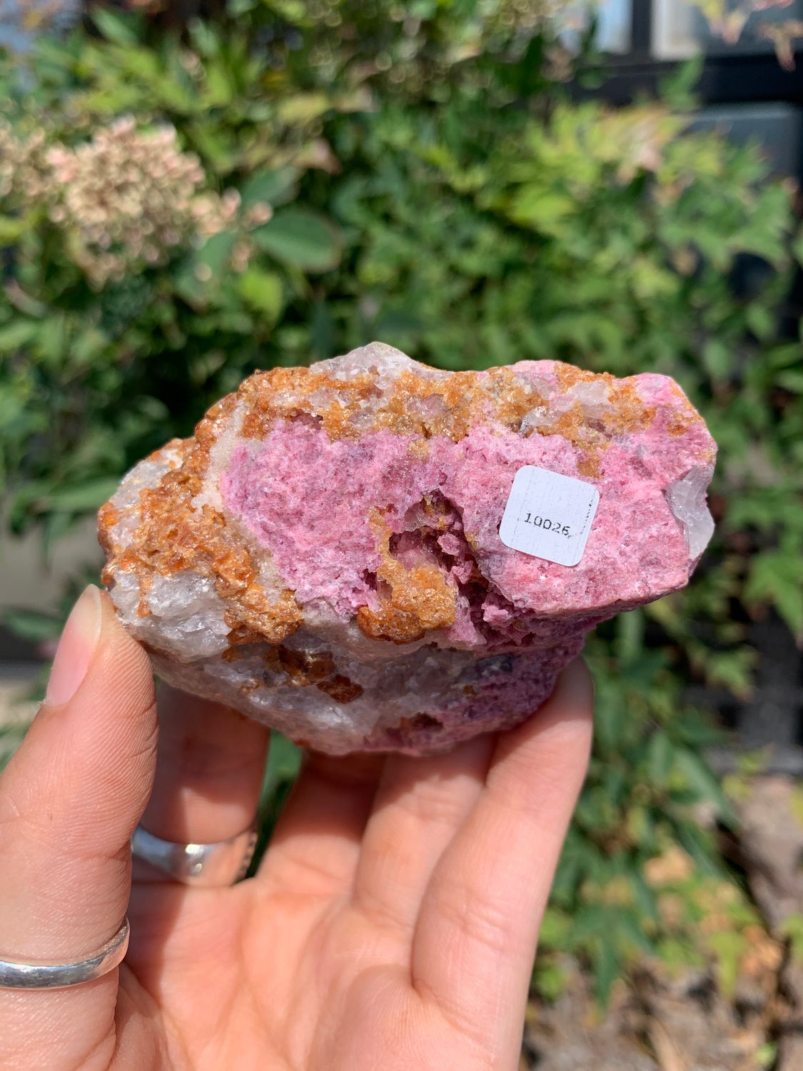 Natural Rough Red Rhodonite Cobbed Specimen