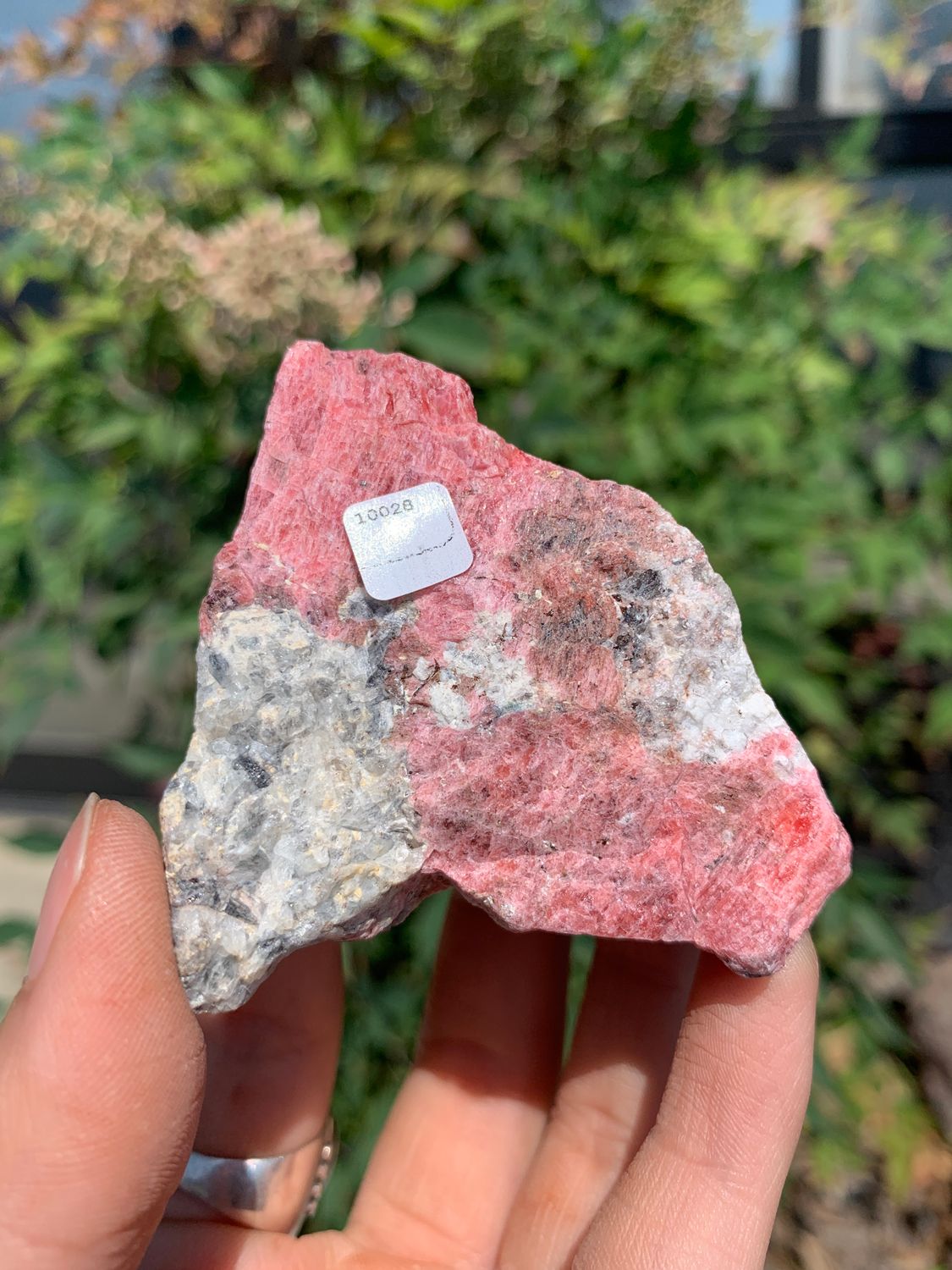 Natural Rough Red Rhodonite Cobbed Specimen