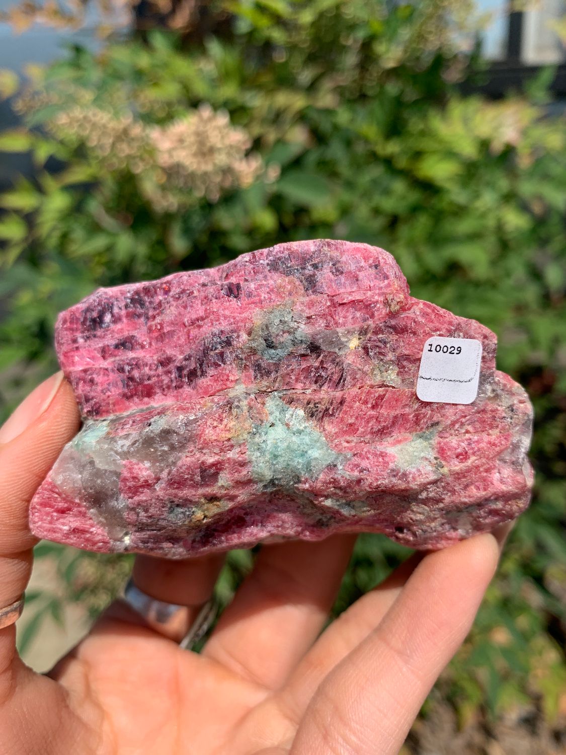 Natural Rough Red Rhodonite Cobbed Specimen