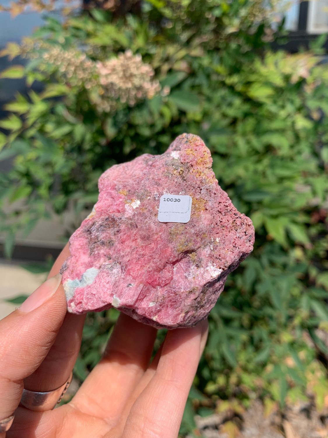 Natural Rough Red Rhodonite Cobbed Specimen