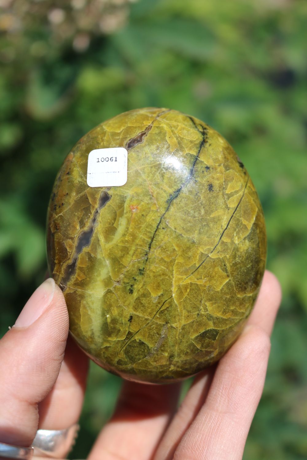 Polished Rare Green Opal Palm Stones