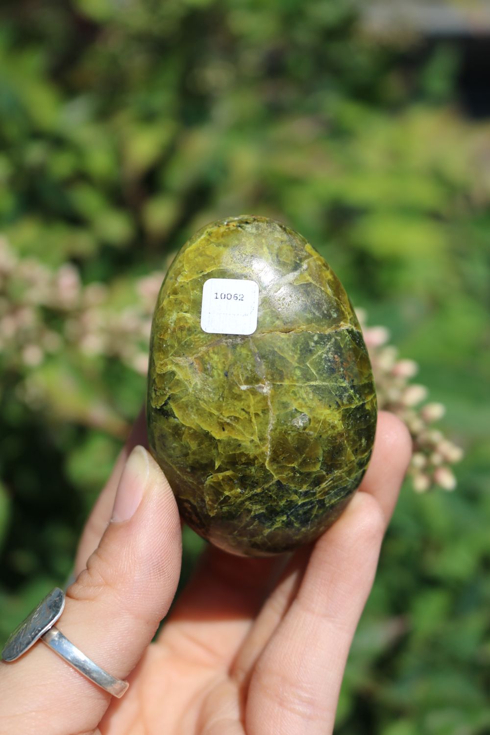Polished Rare Green Opal Palm Stones