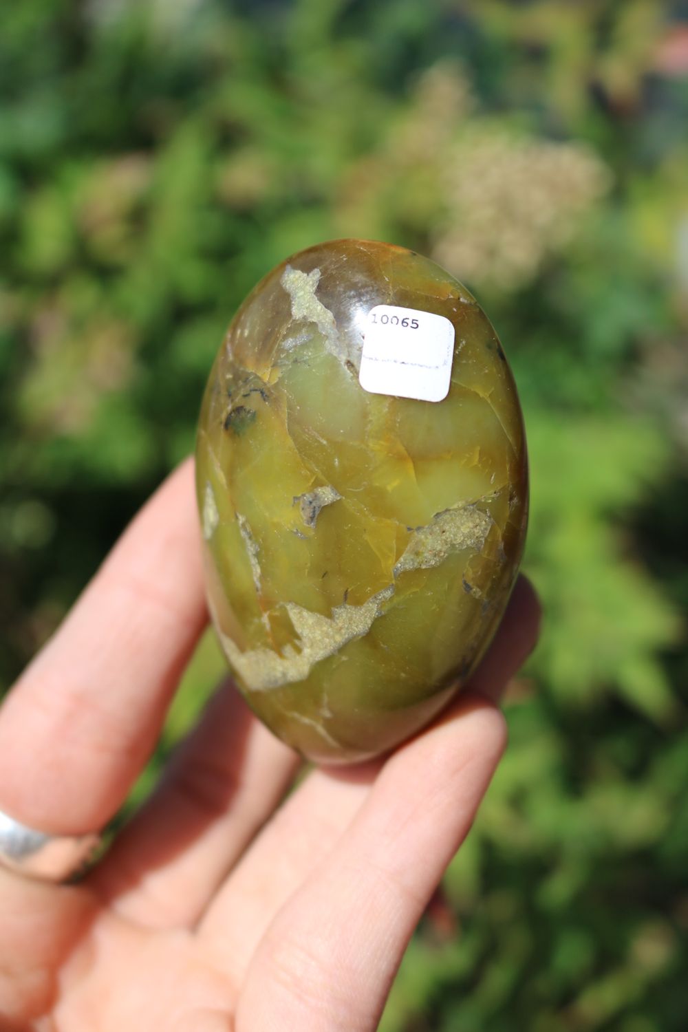 Polished Rare Green Opal Palm Stones