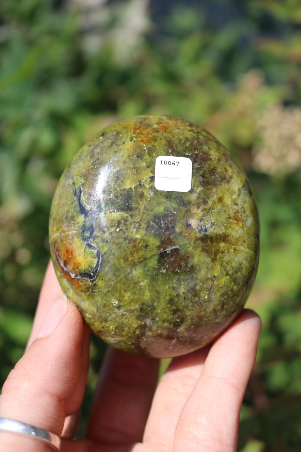 Polished Rare Green Opal Palm Stones