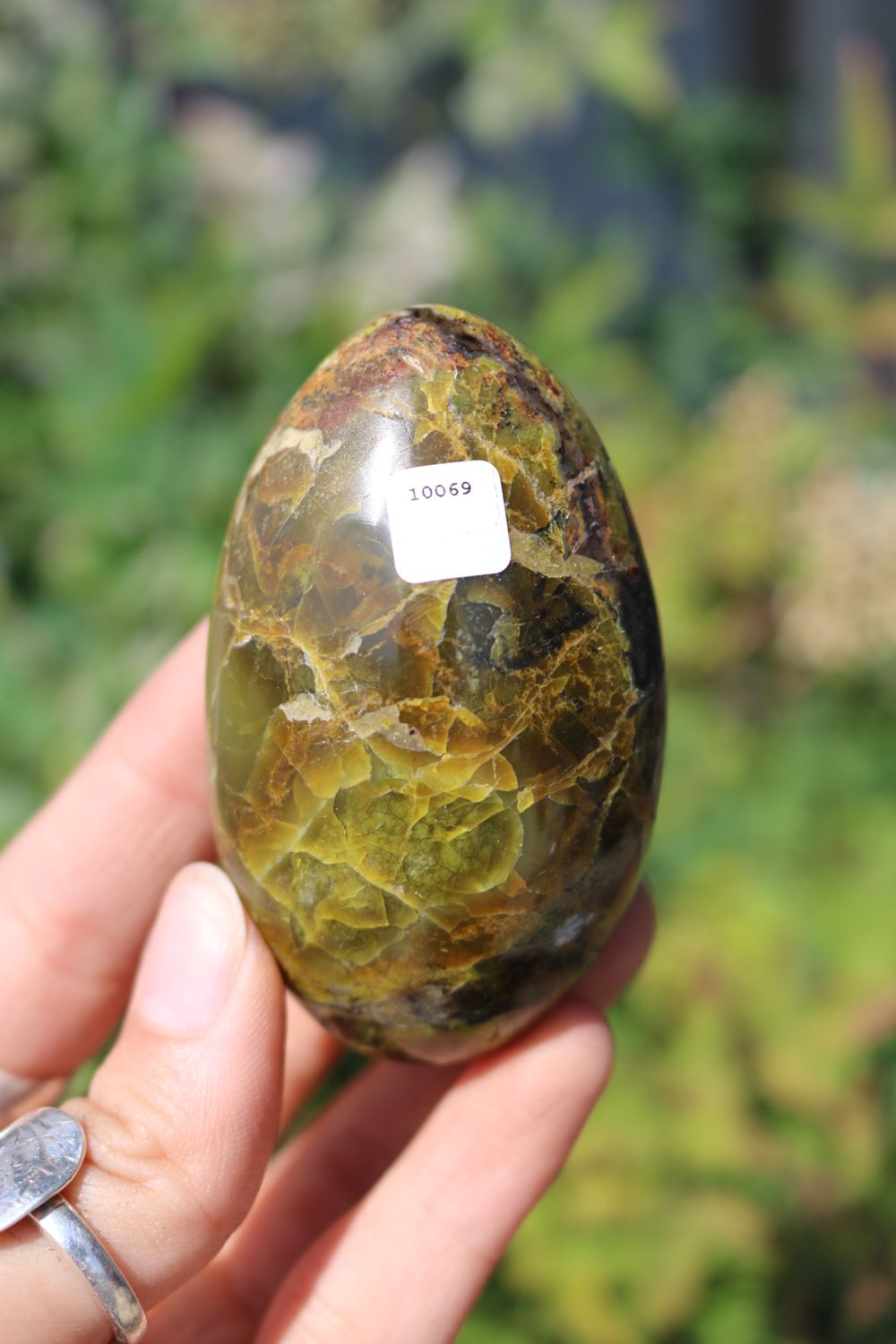 Polished Rare Green Opal Palm Stones