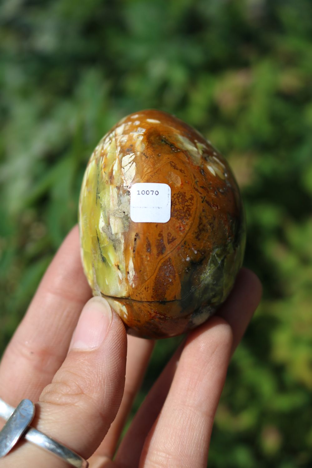 Polished Rare Green Opal Palm Stones