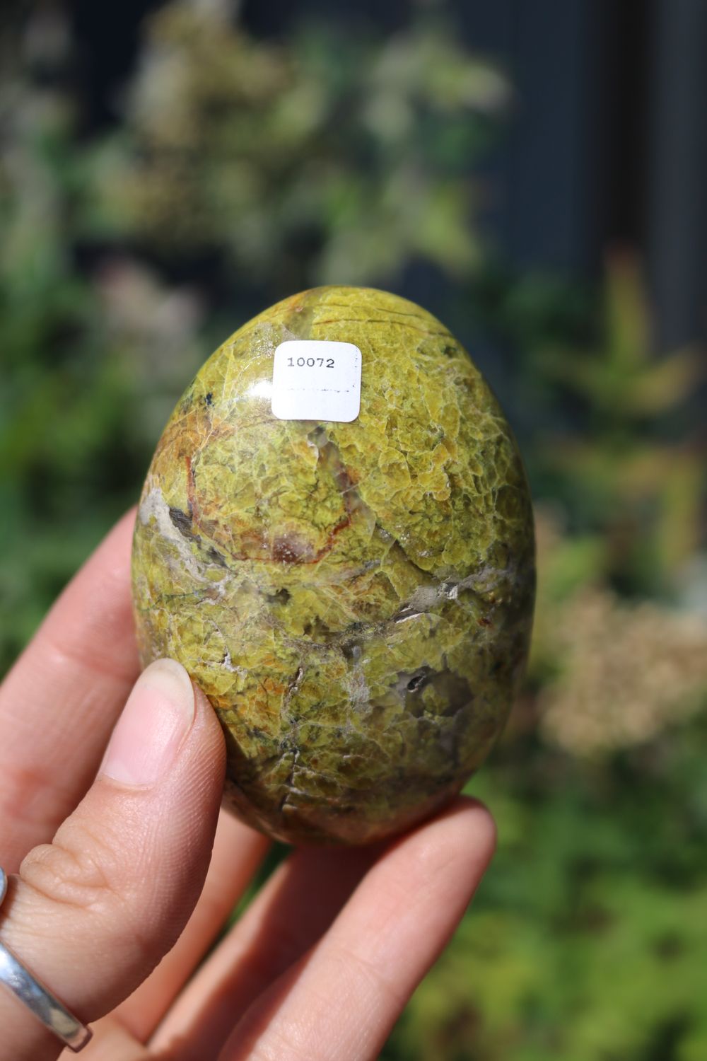 Polished Rare Green Opal Palm Stones