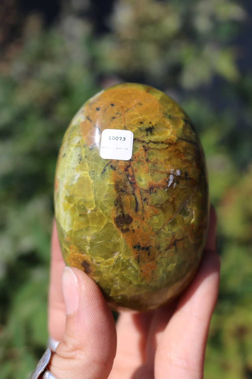 Polished Rare Green Opal Palm Stones