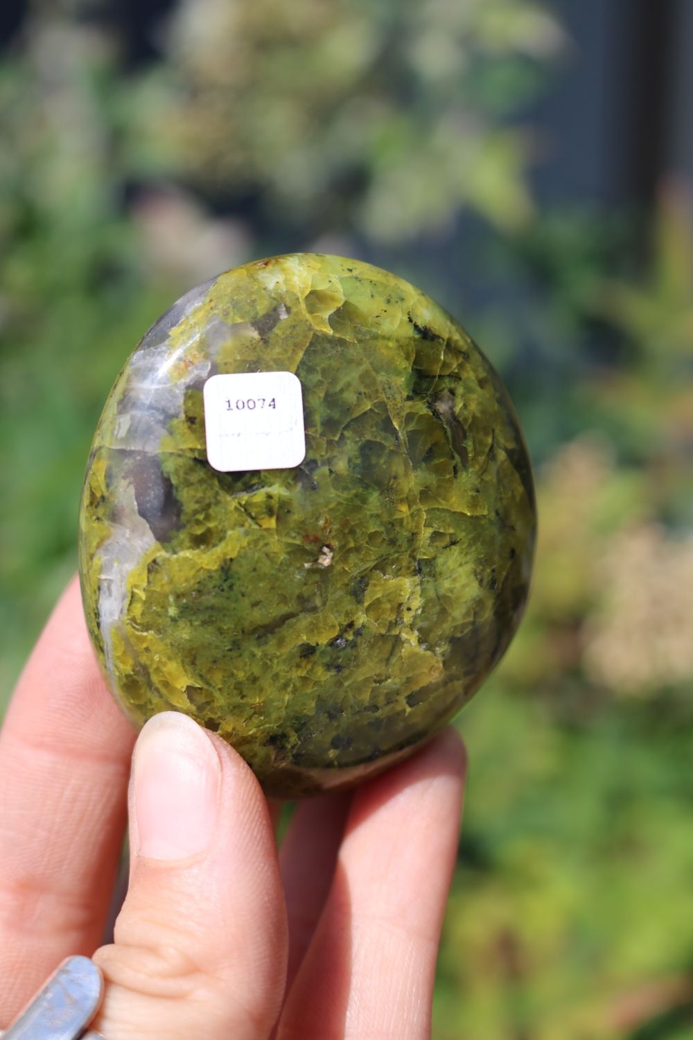 Polished Rare Green Opal Palm Stones
