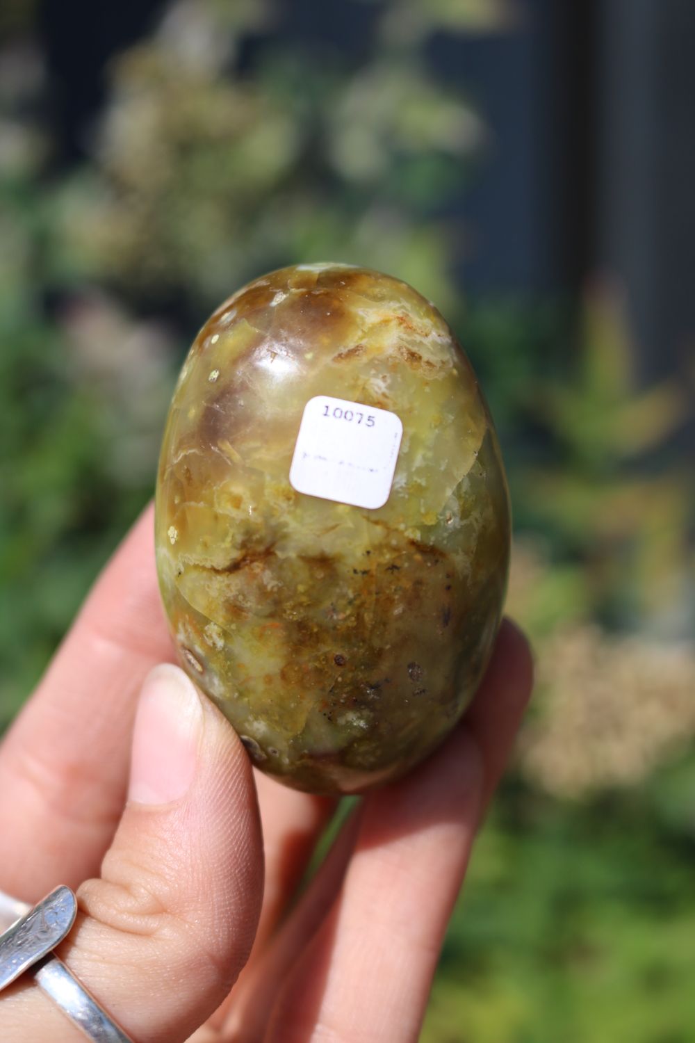 Polished Rare Green Opal Palm Stones