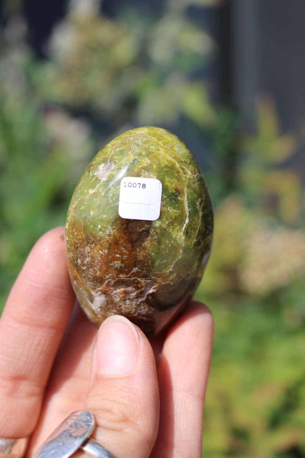 Polished Rare Green Opal Palm Stones