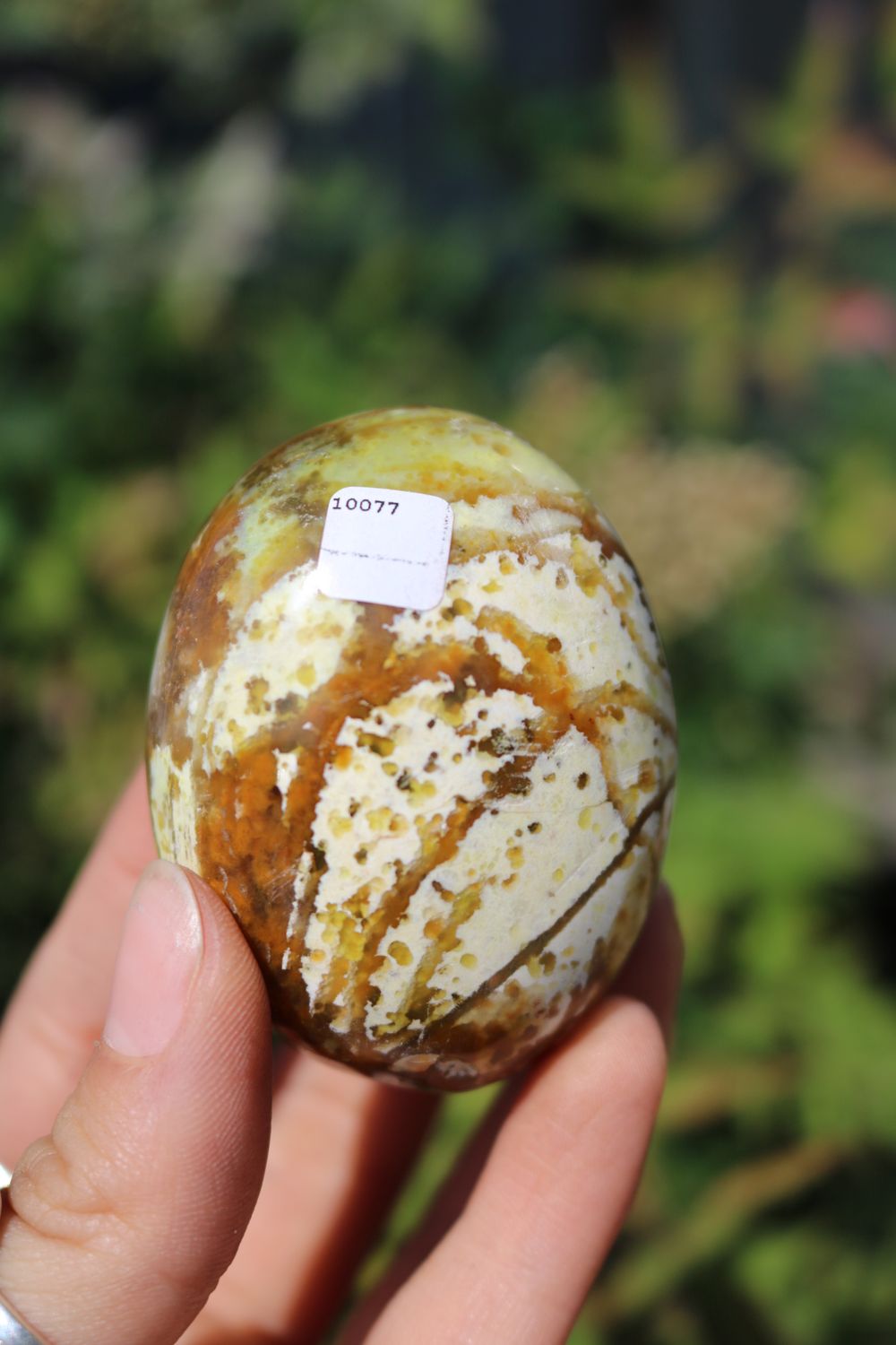 Polished Rare Green Opal Palm Stones