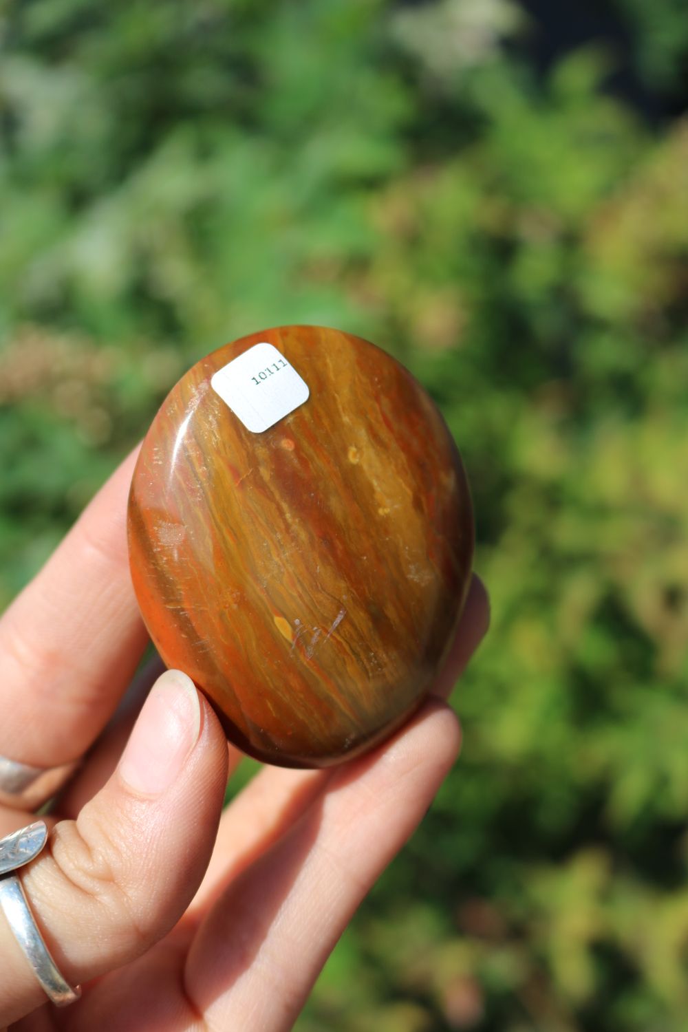 Polished Red Flame Jasper Gallets